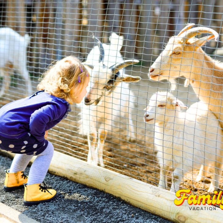 17 Toddler Friendly Vacations That Are Just As Much Fun For Parents 17 toddler friendly vacations that are just as much fun for parents