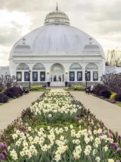 Buffalo Botanical Garden